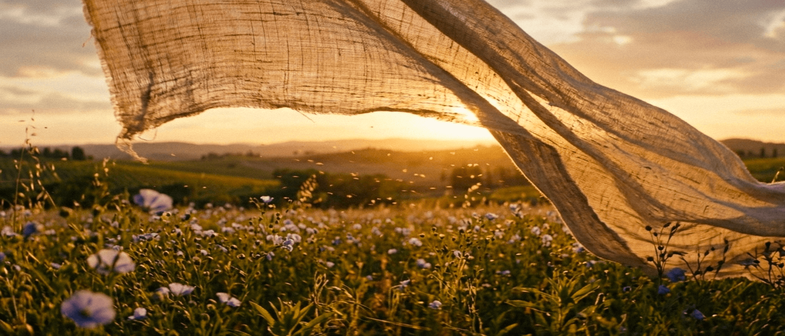 Linen 02